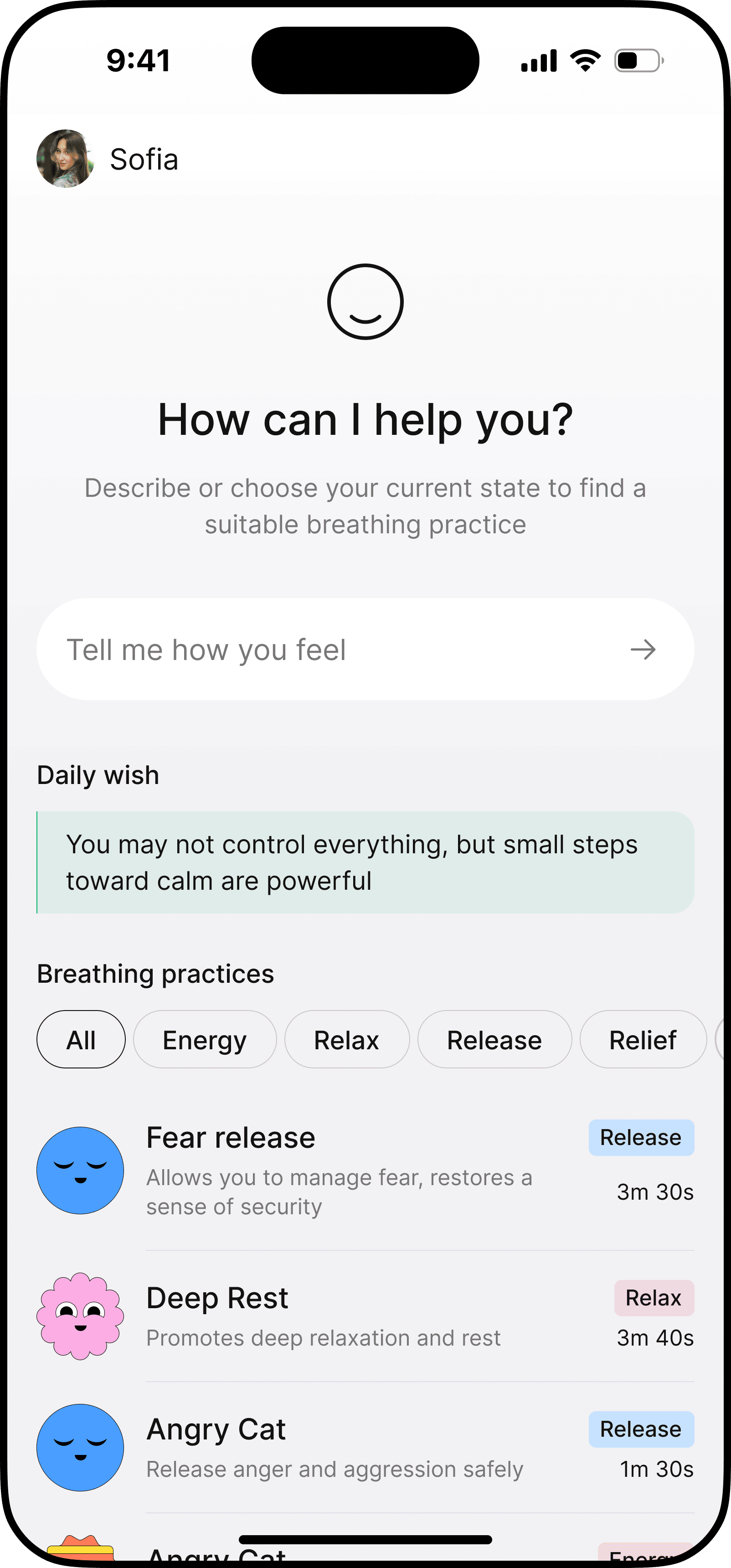 Mindship app: “How can I help you?” screen where you describe how you feel
